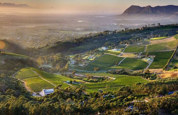 Wine Tasting in Constantia Region Cape Town