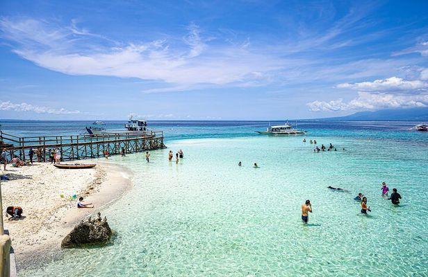 Oslob Whale Shark & Tumalog Waterfalls & Sumilon Sandbar
