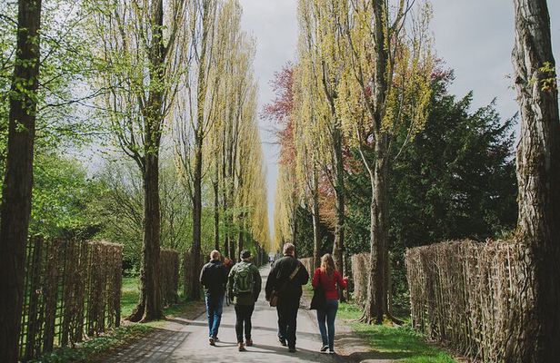 Nørrebro Neighborhood Tour