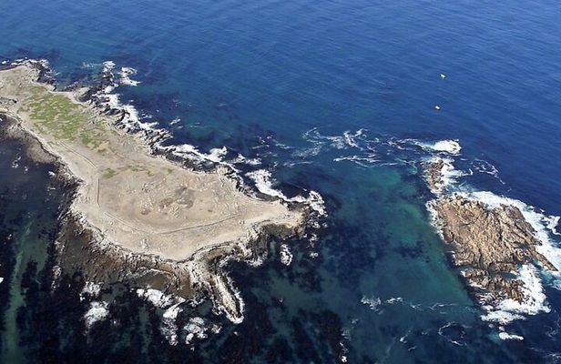 Shark Cage Diving and Viewing with transport from Hermanus
