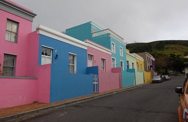 Cape of Good Hope>Cape Point>Penguins & Wine Tasting