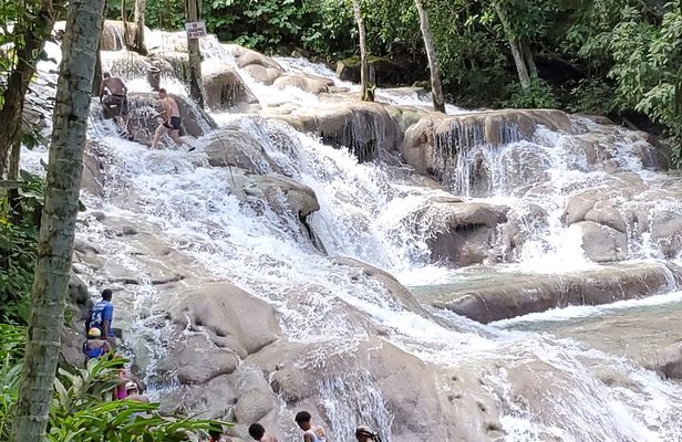 Dunn's River Falls and Martha Brea Bamboo rafting with admissions