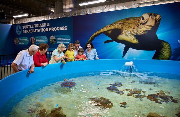 Cairns Aquarium General Admission and Turtle Hospital Tour