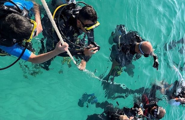 Diving Experience by Boat in Dubai
