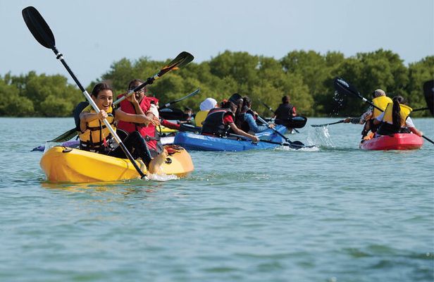 4 Hours Purple Island Mangroves Kayaking Adventure in Qatar