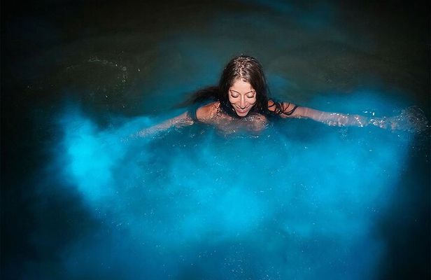Luminous Lagoon Guided Tour In Montego Bay
