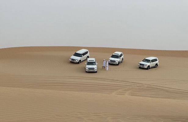 Arabian Desert Safari Abu Dhabi: 6Hour Tour with BBQ & Live Shows