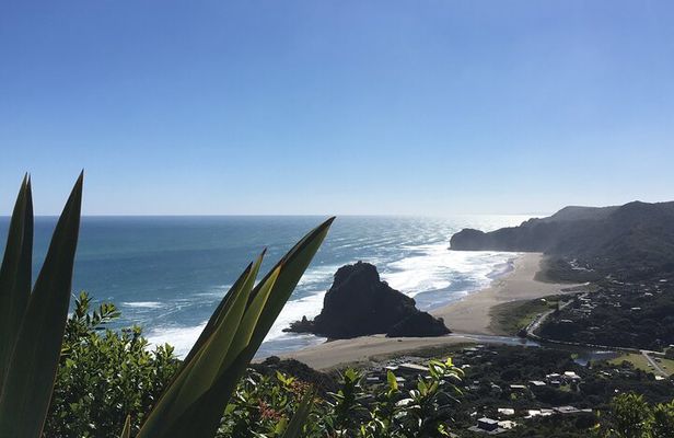 6 Hours Sightseeing Tour in Auckland