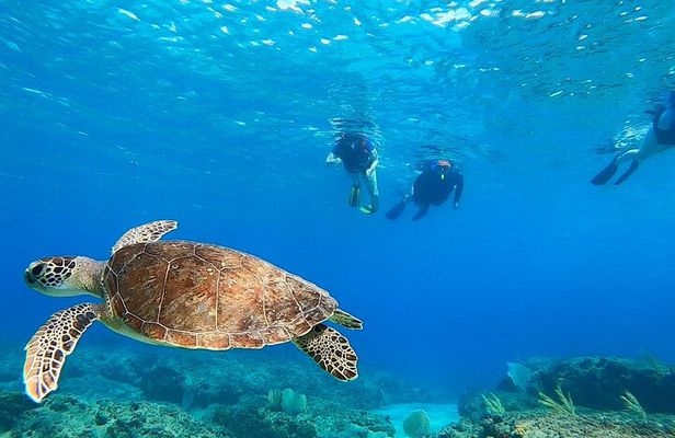 Snorkeling Aguadilla for Families with Children