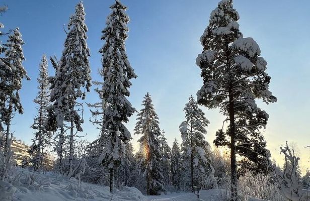 Top of Oslo Snowshoe Tour
