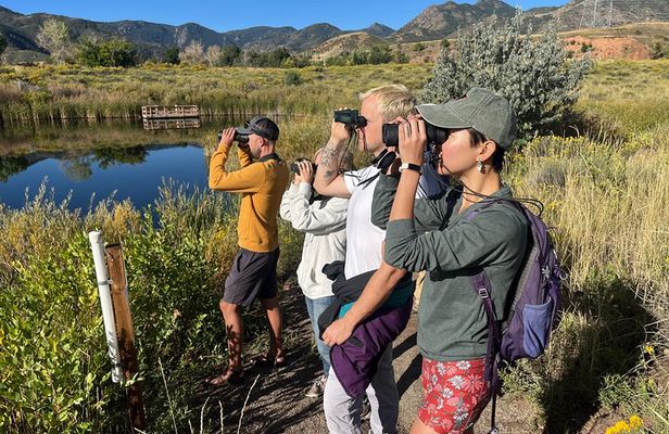2 Hours of Mindful Bird Watching near Denver