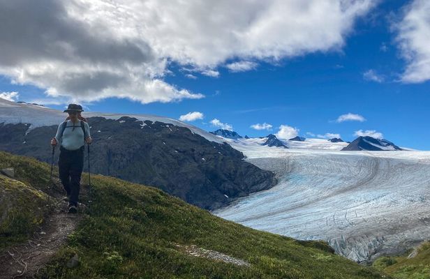 Harding Icefield Trail Hiking Tour