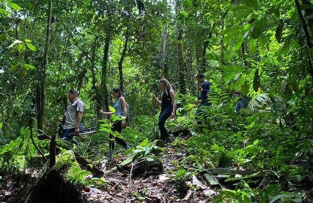 Arenal Jungle Trekking & Cultural Experience
