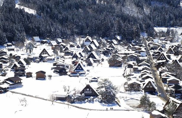 Day Trip for Shirakawago ,Takayama & gujo hachiman from Nagoya
