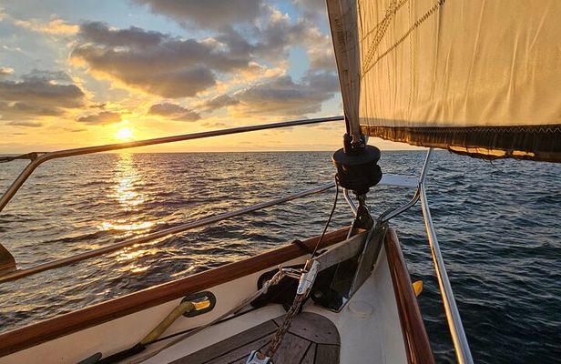 Experience Oceanside Sailing with Whales and dolphins!