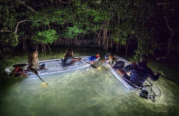 Siesta Key, FL - Clear Kayak LED Night Glass Bottom Tour