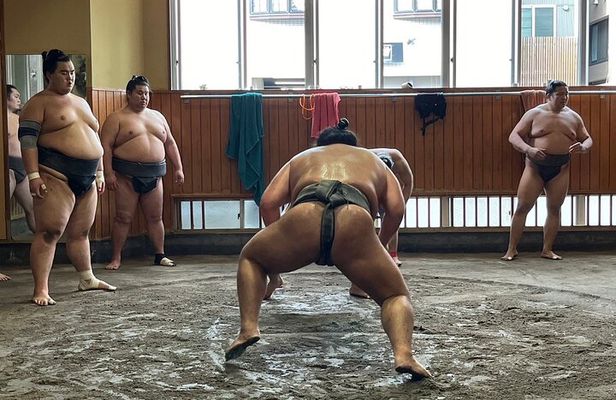 Tokyo: Visit Sumo Morning Practice with English Guide