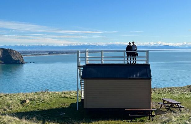 Half-Day Godley Head Coastal Hike from Christchurch