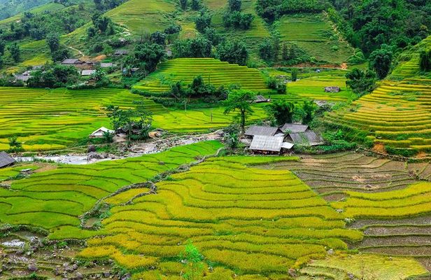 A day Trek to Rice Field in LaoChai-Tavan village-MuongHoa valley