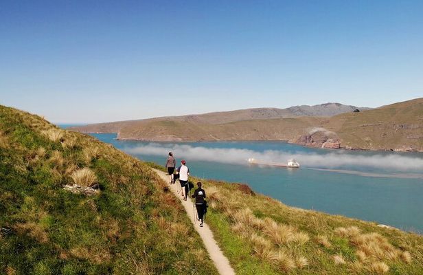 Lyttelton Shore Excursion - Guided Walking Tour and Picnic 