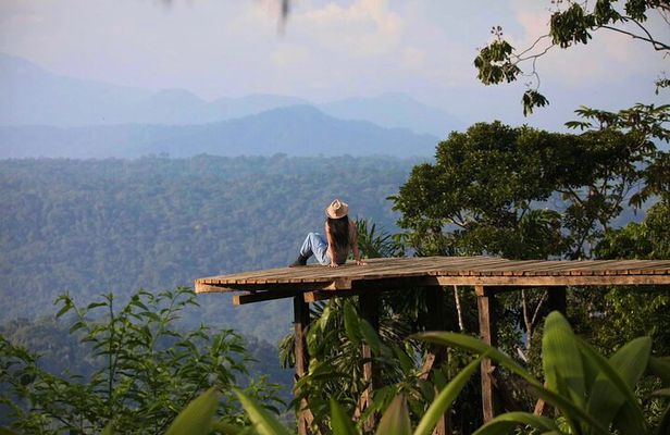 Relax in the Amazon for 3 Full Days All inclusive From Quito
