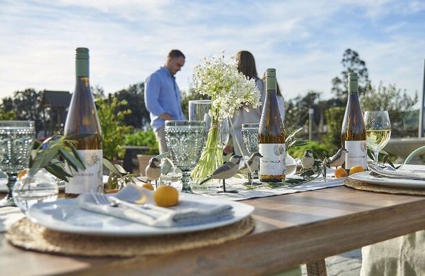 Private Casablanca Valley De Luxe Wine Tour