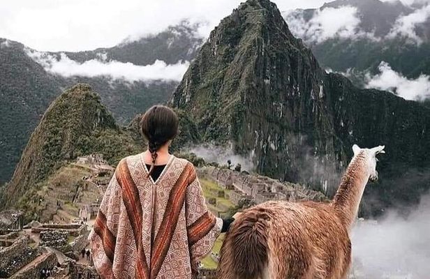 One Day Tour to Machu Picchu Private Service