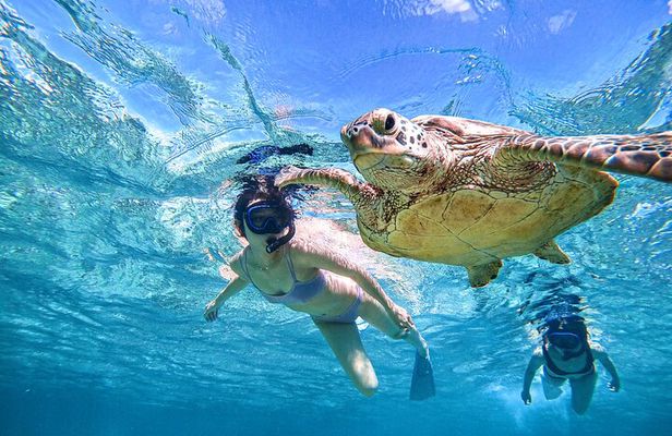 Snorkeling Activity in Okinawa Miyako Japan