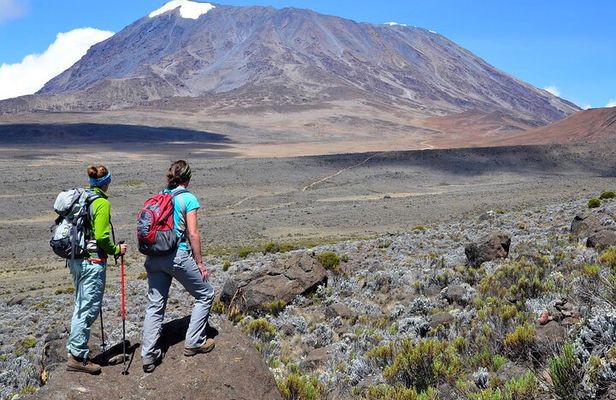Private 1 Day Hike in Kilimanjaro Mountain