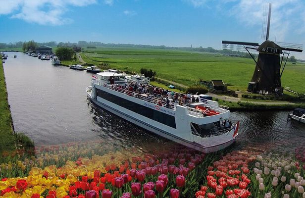 Keukenhof Gardens with Windmill Cruise & Transfer from Amsterdam