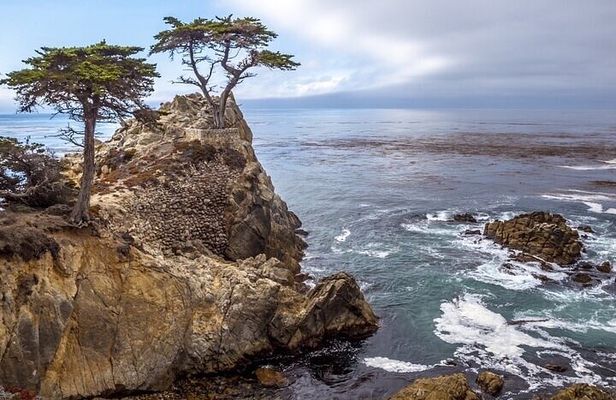 Monterey, Carmel, 17 Mile Drive, Bixby Bridge 5 hrs from Monterey