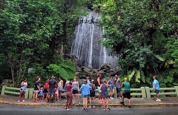 Puerto Rico: El Yunque Sightseeing Half-Day Tour w/Transfer