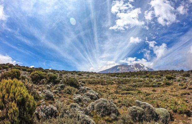 8-Day Hiking Tour Lemosho Route in Tanzania