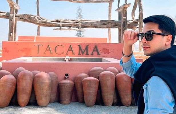Tacama Wine Experience and Pisco Museum and Pisco Sour Class