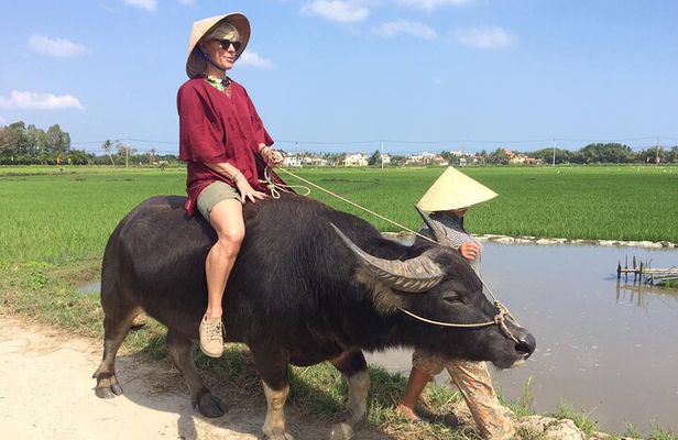 Hoi An Rice Farm Tour and Buffalo Riding with Local Home Meal