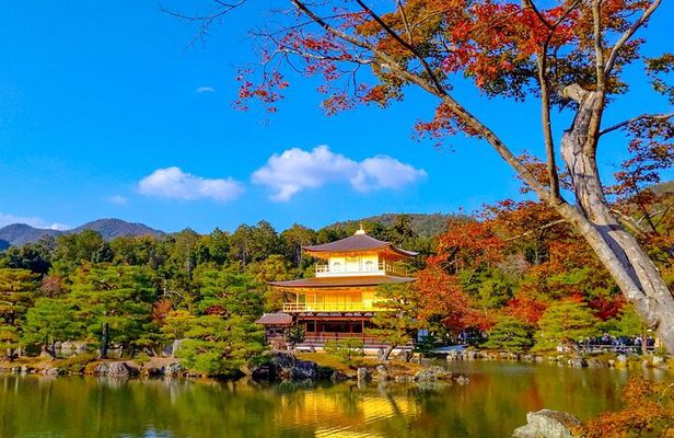 Private Kyoto Day Trip with English Speaking Driver
