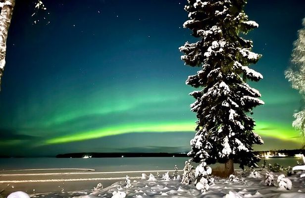 Northern Lights Activity Snowmobile Driving