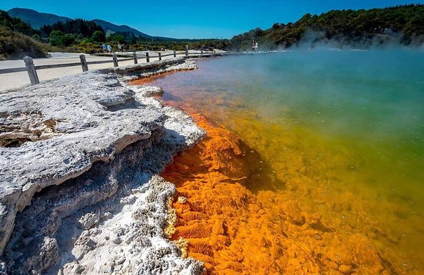 Wai-O-Tapu to Redwoods and Secret Spot Private Tour from Auckland