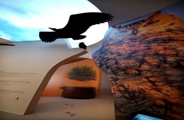 Dubai: Desert Discovery Adventure