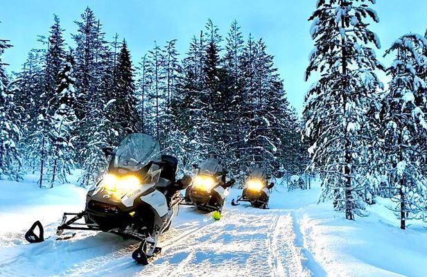 Snowmobile Safari to the Wilderness
