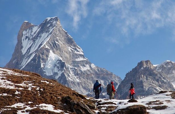 4 Days Mardi Himal Base Camp Trekking in Pokhara