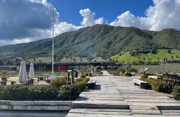  Colchagua Valley Private Tour: Montes + Clos Apalta