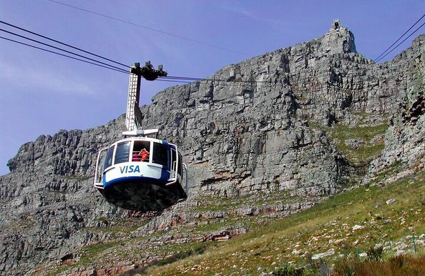 Table Mountain, Penguins & Cape of Good Hope Small Group Top Tour from Cape Town
