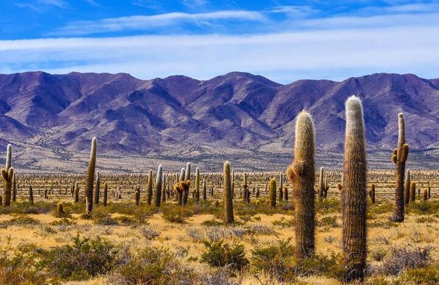 3 Day Tour from Salta to Cachi, Humahuaca and Salinas Grandes