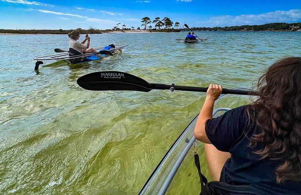 Clear Kayak Ecotour Destin Ft. Walton Beach