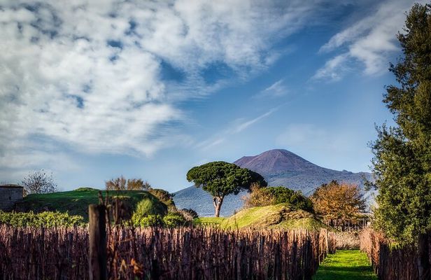 Full-Day Private Pompeii and Vesuvius Wine Tour from Naples