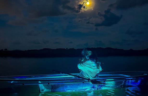 Clear Kayak Glow Tour Destin Ft. Walton Beach