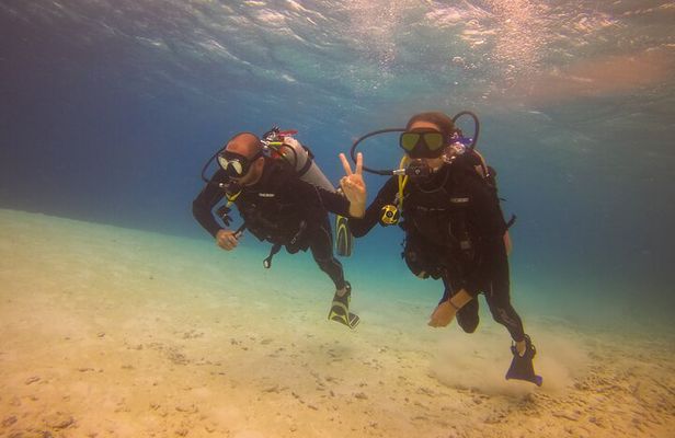 Guided Padi Discover Scuba Diving for Non-Certified Divers