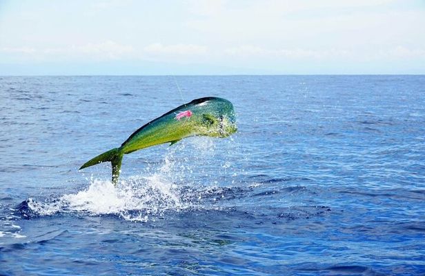 Marathon Florida Keys Fishing Experience Big Game