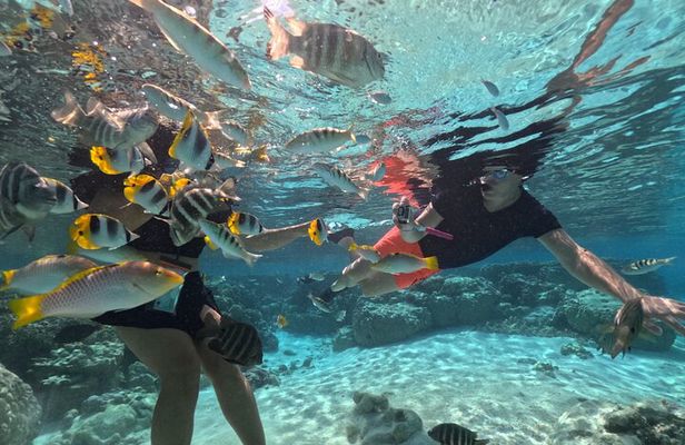 3H Adventure in JET SKI Snorkeling and Tahaa Lagoon